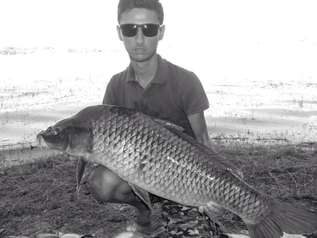 2013 - 2 - image11111111.jpg